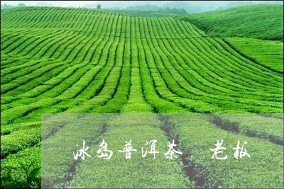 冰岛普洱茶 老板/2023041303706